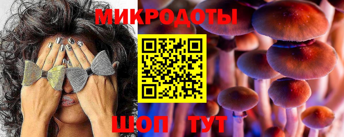 Наро-Фоминск  купить  сайты  Псилоцибиновые грибы Psilocybe  Вход с VPN  Галлюциногенные грибы GOLDEN TEACHER 